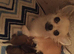 Puppies