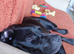 Labrador Cross