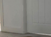 Rehoming needed French Bulldog Male