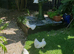 PURE WHITE GARDEN FANTAIL DOVES PERMANENTLY ERECTED TAILS
