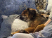 Retirement home needed for Huxley