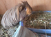 Bonded boys Reggie n Ronnie