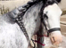 Sabino Mare