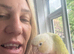 Pineapple conure