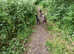 Dog walking