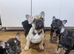 Litter of 5 ready for their forever homes