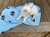 5 STUNNING RAGDOLLS