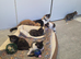 5 Kittens