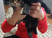 6 kittens