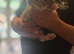 Half maincoon kittens forsale