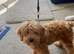 4 months old