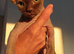 canadian sphynx