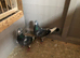 3 Jan Arden's for sale