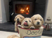 Golden retriever puppies