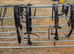 Tedmans cob pairs harness