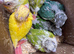 Hand Reared conures