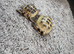 X2 horsefield tortoise