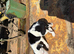 Lurcher pups for sale