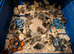 Coturnix quail chicks