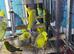 Baby’s budgies Glasgow