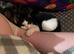3 month old kitten
