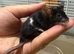 3 young friendly males available