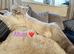 Hypoallergenic Pedigree Siberian kittens