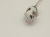 beautiful mice