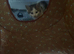 4 kittens for sale 2 boys 2 girls