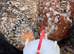Pekin bantams for sale