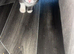 Cross bread kitten