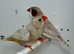 Pair zebra finches for sale