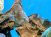 Discus -various types and sizes from &pound;30