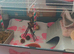 Guinea cage, hygiene & other stuff