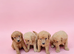 Gorgeous Labradoodle puppies