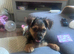 Beautiful boy looking for a new home