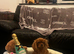 Cavapoo boy