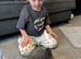 Netherland dwarf bunny