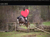 16.1hh cob x gelding 11 years.