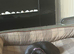 12 week old female whippet x Greyhound