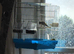 Goldfinch