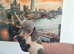 Miniature dachshunds
