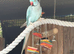 Make ringneck