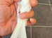 2024 very nice Persian hen