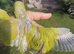 Hand reared super tame Quaker monk parrot