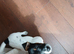 12 week old Jack Russell boy fully vaccinated & mico chipped ready for new home