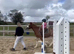 Lr/fr/pc/happy hacker/allrounder/show pony