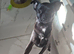 Black chug female 22,months old neutered
