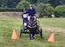 12hh Strikingly Beautiful registered Hackney Driving Pony