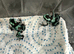 Auratus Panama special dart froglets